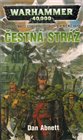 Warhammer 40 000 - Čestná stráž