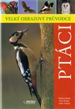Ptáci - Velký obrazový průvodce - obálka