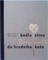Bodla stínu do hrudního koše