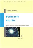Poškození mozku (Praktický průvodce pro terapeuty, rodinné příslušníky a pacienty) - obálka