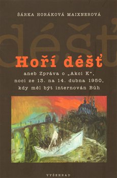 Obálka titulu Hoří déšť