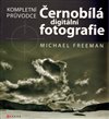 Černobílá digitální fotografie