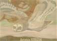 Antonín Střížek - obálka