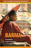 Barma – pohled profesionálního průvodce - obálka