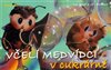 Včelí medvídci v cukrárně