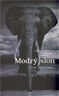 Modrý slon