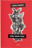 Tady nejste cizej - obálka