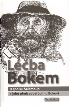 Obálka titulu Léčba Bokem