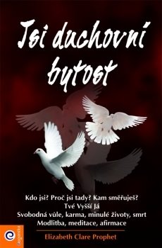 Obálka titulu Jsi duchovní bytost