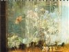 Kalendář Daniel Reynek 2011 - stolní