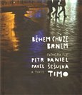 Během chůze Brnem - obálka