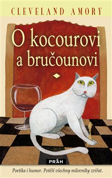 Obálka titulu O kocourovi a bručounovi
