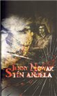 Stín anděla