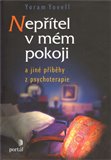 Nepřítel v mém pokoji - obálka