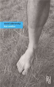 Obálka titulu Kus umělce