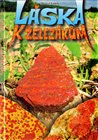 Láska k železákům