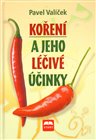 Koření a jeho léčivé účinky
