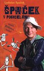 Špaček v porcelánu