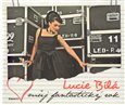 Můj fantastický rok - obálka