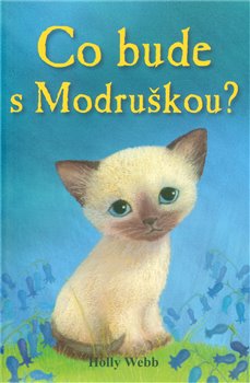 Obálka titulu Co bude s Modruškou?