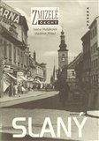 Slaný (Zmizelé Čechy) - obálka
