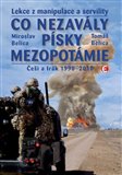 Co nezavály písky Mezopotámie (Lekce z manipulace a servility (Češi a Irák 1990–2010)) - obálka