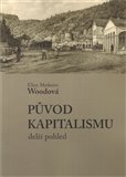 Původ kapitalismu (Delší pohled) - obálka