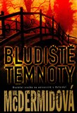 Bludiště temnoty - obálka