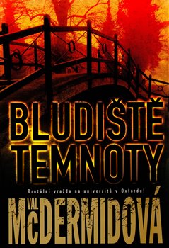 Obálka titulu Bludiště temnoty