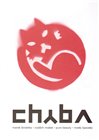 Chyba