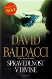 Spravedlnost v Divine (Oliver Stone se vrátil) - obálka