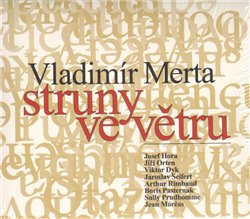 Obálka titulu CD-Struny ve větru