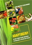 Adaptogeny (byliny poskytující odolnost, vytrvalost a úlevu od stresu) - obálka