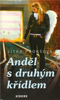 Obálka titulu Anděl s druhým křídlem