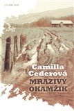Mrazivý okamžik - obálka