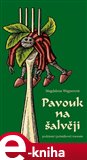Pavouk na šalvěji - obálka