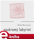 Soukromý labyrint (Elektronická kniha) - obálka