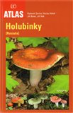 Holubinky - obálka