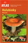 Holubinky