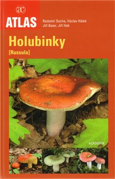 Obálka titulu Holubinky