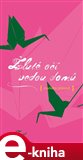 Žluté oči vedou domů - obálka