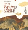CD-Co si vyprávějí andělé? - obálka