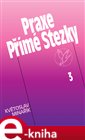 Praxe Přímé Stezky 3