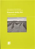 Pracovní dráhy žen v České republice - obálka
