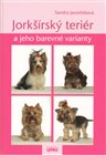 Jorkšírský teriér a jeho barevné varianty