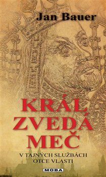 Obálka titulu Král zvedá meč