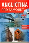 Angličtina pro samouky + CD