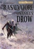 Osamělý drow (Lovcovy čepele 2) - obálka