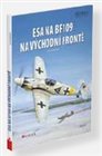 Esa na Bf109 na východní  frontě