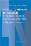 Možnosti zvyšování efektivnosti veřejného sektoru v podmínkách krize veřejných financí - obálka